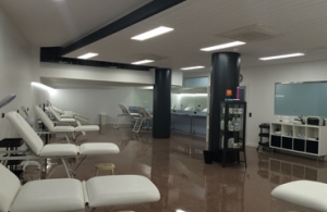 Taller Grado Medio Estética